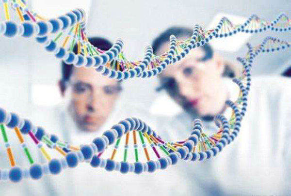 共同推动三省一市残疾人基本公共服务制度衔接、政策协同、标准趋同